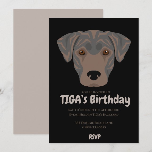 Cute puppy dog TIGA’s party  Invitation (Front/Back)