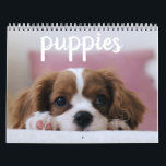 Cute Puppy Dogs Calendar<br><div class="desc">Cute puppy dogs not just to brighten your day,  but for your whole year. Pin this calendar in your office,  dorm,  home,  kitchen,  anywhere that will make you smile.</div>