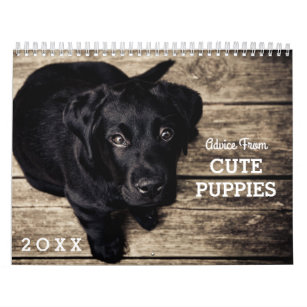 Cute Puppy Dogs Funny Inspirational Advice 20XX Calendar