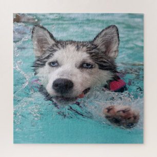 Cute puppy dogs jigsaw puzzle