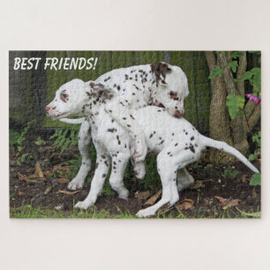 Cute Puppy Dogs Playing Jigsaw Puzzle