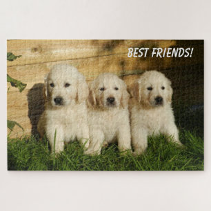 Cute Puppy Dogs Playing Jigsaw Puzzle