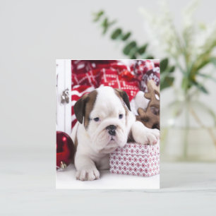 Cute Puppy English Bulldog   Funny Christmas