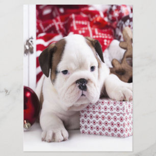 Cute Puppy English Bulldog Funny Christmas Menu