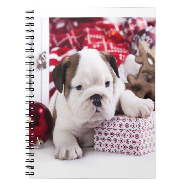 Cute Puppy English Bulldog | Funny Christmas Notebook (Front)