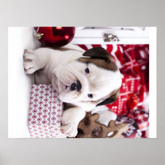 Cute Puppy English Bulldog | Funny Christmas Poster