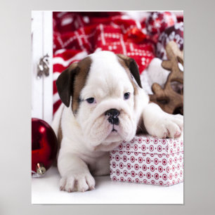 Cute Puppy English Bulldog Funny Christmas Poster