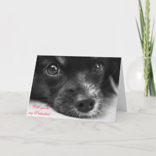 Cute Puppy Face "Will You Be My Valentine" Card
