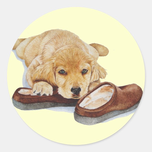cute puppy golden retriever dog cuddling slippers classic round sticker (Front)