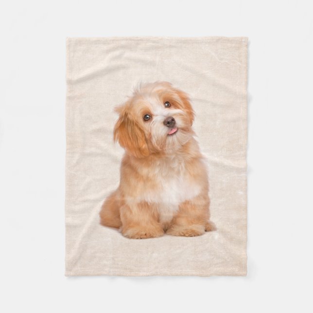 Cute Puppy Havanese Puppy Fleece Blanket (Front)