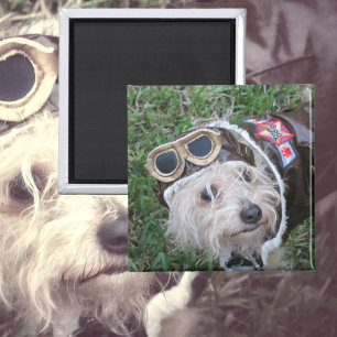 Cute Puppy in Aviator Uniform Photographic Magnet