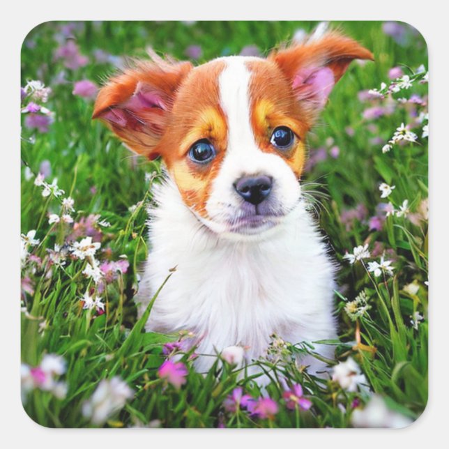 Cute Puppy in field of flowers Square Sticker (Front)