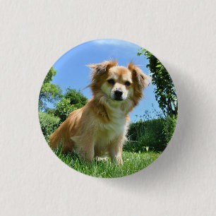 Cute Puppy in Garden Photo 3 Cm Round Badge