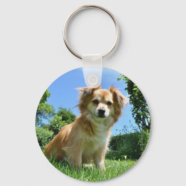 Cute Puppy in Garden Photo Key Ring (Front)