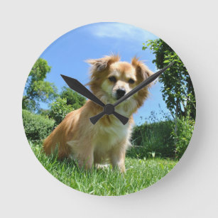 Cute Puppy in Garden Photo Round Clock