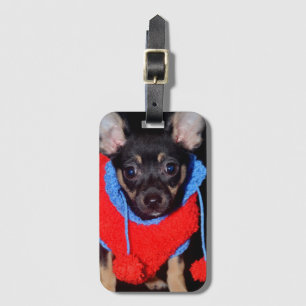 Cute Puppy in Red Wool Sweater Luggage Tag