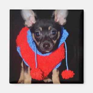 Cute Puppy in Red Wool Sweater Magnet