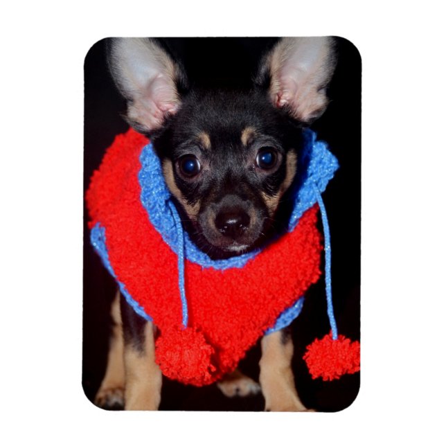 Cute Puppy in Red Wool Sweater Magnet (Vertical)