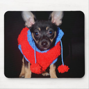Cute Puppy in Red Wool Sweater Mouse Mat