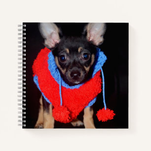 Cute Puppy in Red Wool Sweater Notebook
