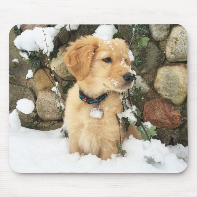 Cute Puppy lab retriever  Mouse Mat (Front)