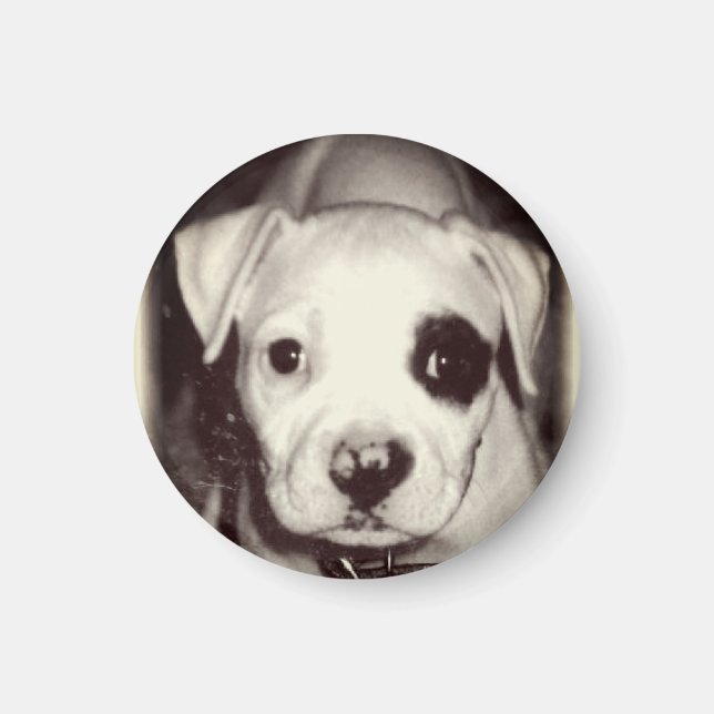 Cute Puppy Magnet (Front)