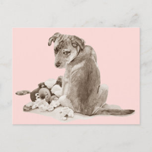 Cute puppy mixed breed with teddy dog postcard