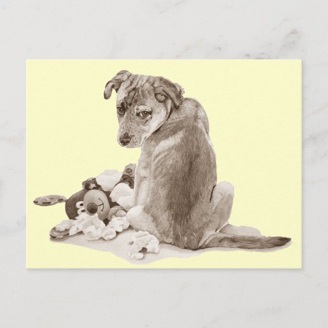 Cute puppy mixed breed with teddy dog realist art postcard (Front)