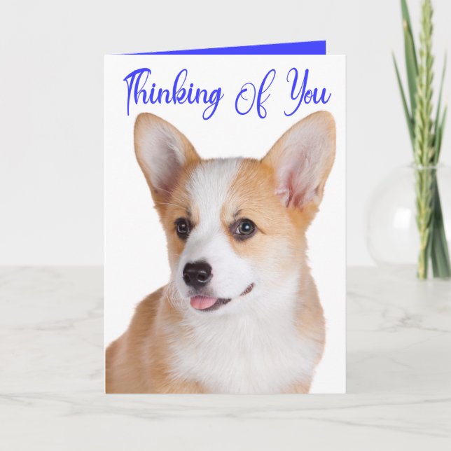 Cute Puppy Pembroke Corgi Dog Thinking Of You Card (Front)