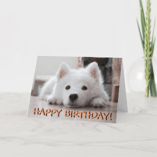 Cute puppy photo birthday card