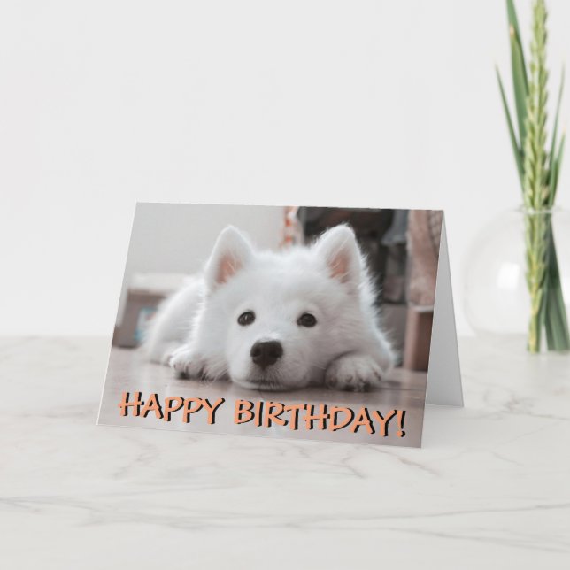 Cute puppy photo birthday card (Front)