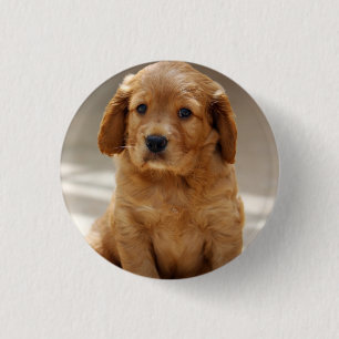Cute Puppy Portrait Photo 3 Cm Round Badge