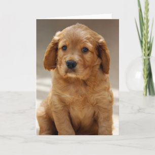 Cute Puppy Portrait Photo Card