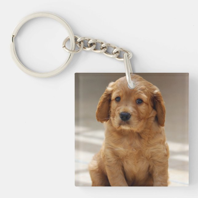 Cute Puppy Portrait Photo Key Ring (Front)