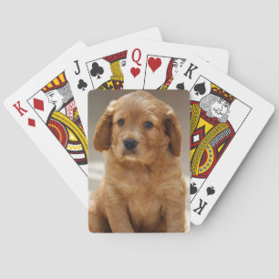 Cute Puppy Portrait Photo Playing Cards