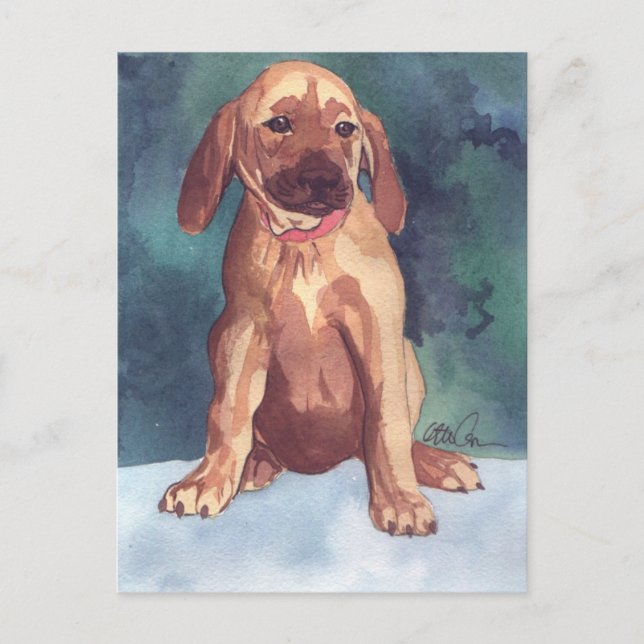 Cute Puppy postcard (Front)