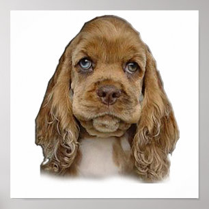 cute puppy poster