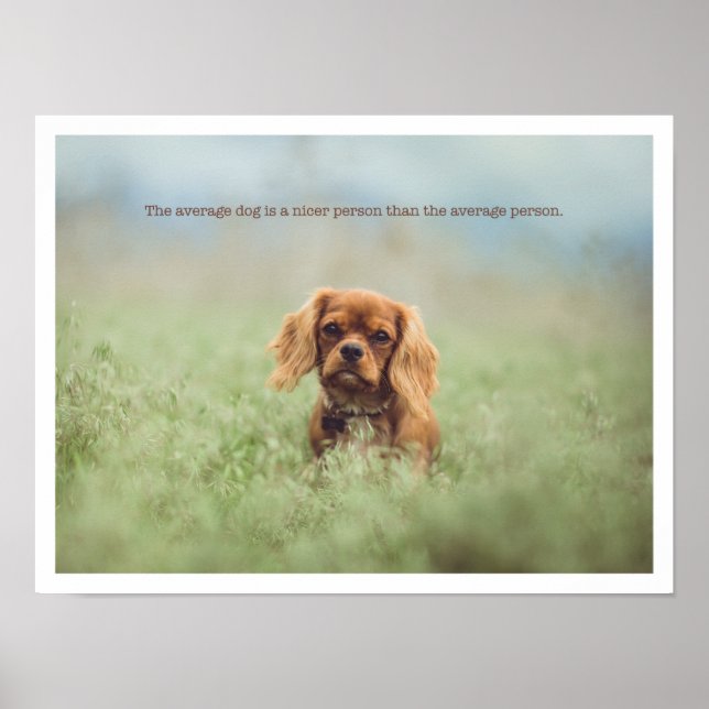 Cute puppy poster (Front)