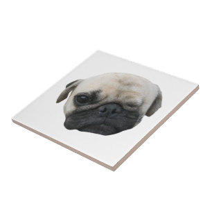Cute Puppy Pug Dog Friend ... かわいい 子犬 Tile