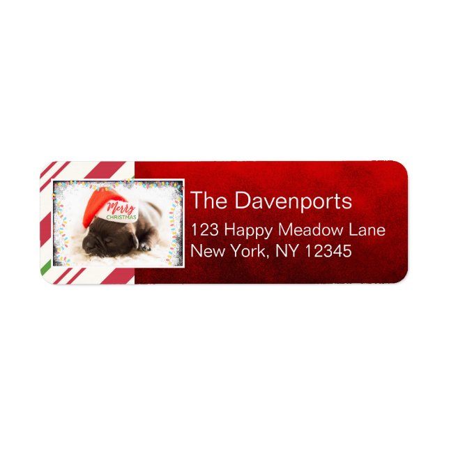 Cute Puppy Pug in a Red Santa Hat Christmas (Front)