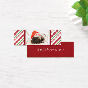 Cute Puppy Pug in a Red Santa Hat Christmas