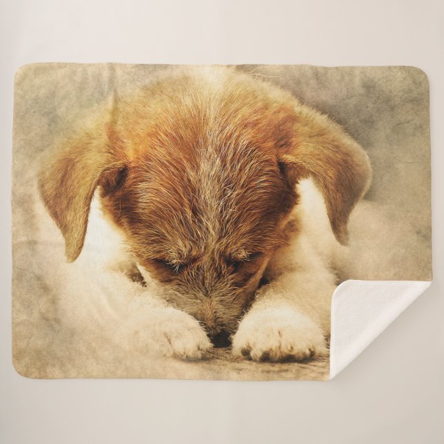 Cute Puppy Sherpa Blanket (Front (Horizontal))