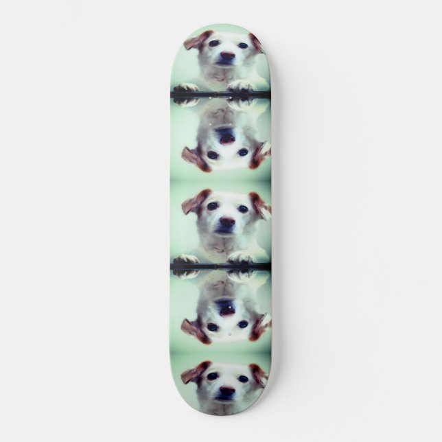 Cute Puppy Skateboard (Front)