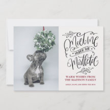 Cute Puppy Sniffing Mistletoe Christmas
