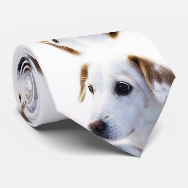 Cute Puppy Tie (Rolled)