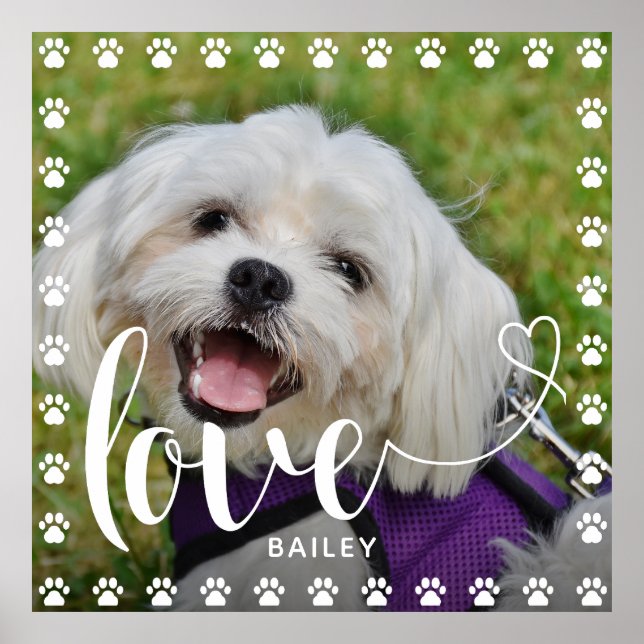 Cute Puppy Valentines Day Pet Puppy Dog Photo Poster (Front)