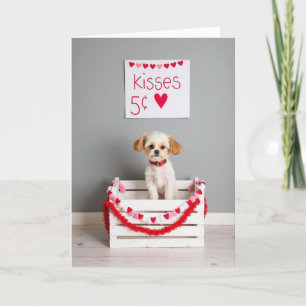 Cute Puppy Valentines Kisses Card