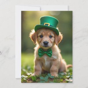 Cute puppy with St. Patrick's outfit, shamrocks Holiday Card
