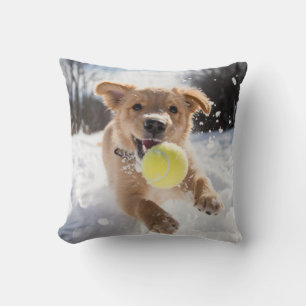 🐕 Cute  puppy with Tennis balls in ❄️snow Cushion