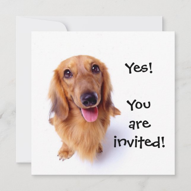 Cute Puppy "You're Invited!" Personalised Party Invitation (Front)